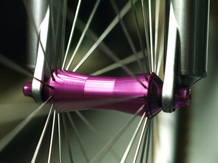 Front Hedgehog hub with straight-pull spokes.