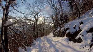 Downhill from the Montagne de Romont.