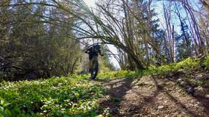 Crossing the Bözingenberg in the early spring.