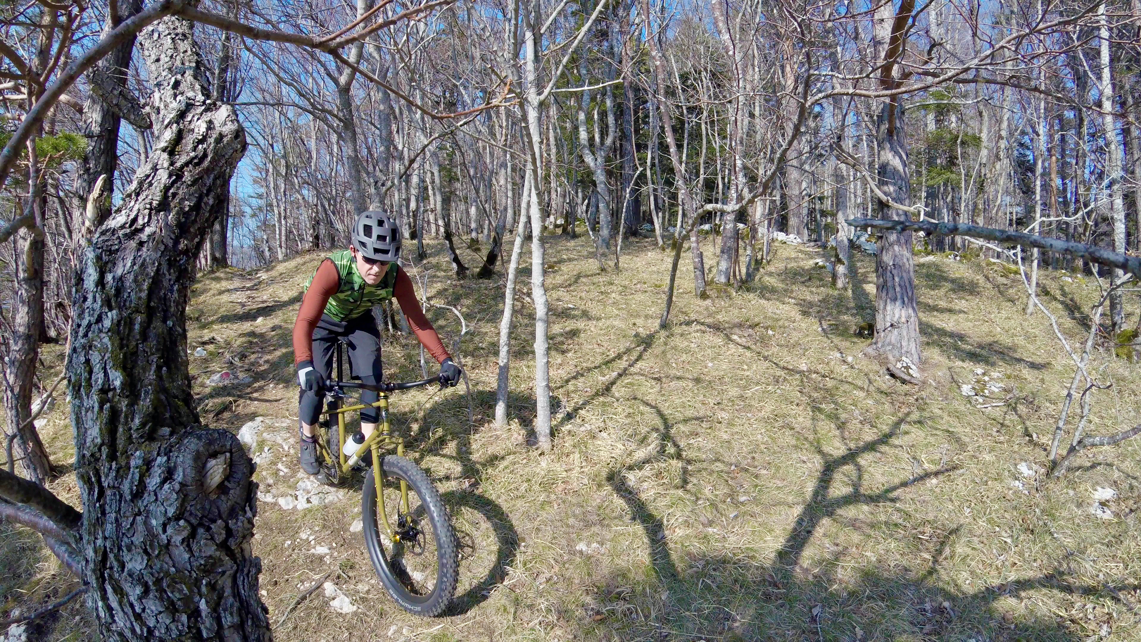 Mountain bike ride in the forests of Plagne.