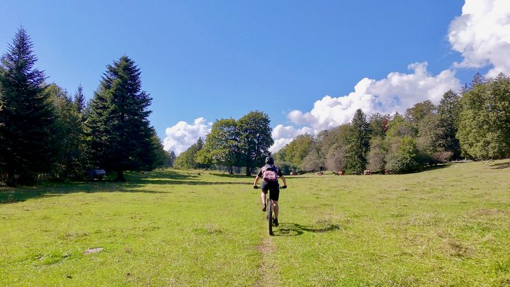 Riding across the Bözingenberg.