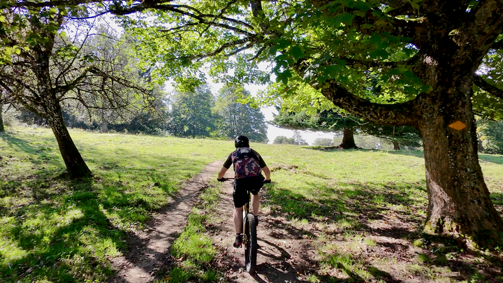 Riding under trees.