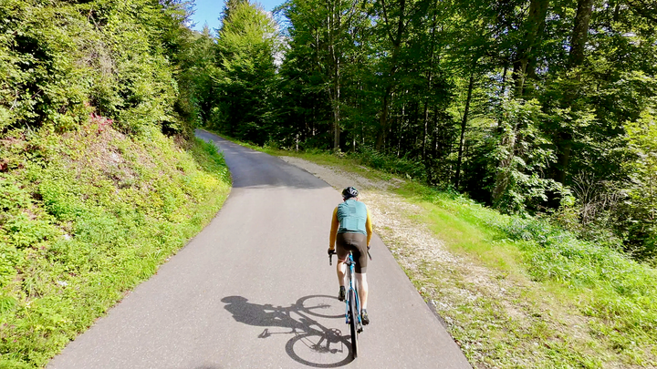 Climbing the Romontberg.